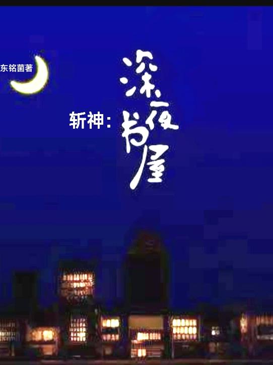 斩夜简介